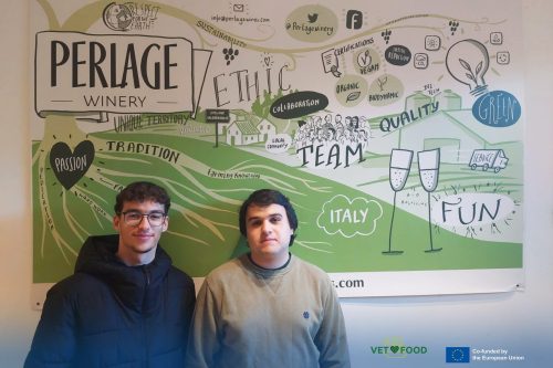 491972531 1225036699624763 9221009733746020595 n