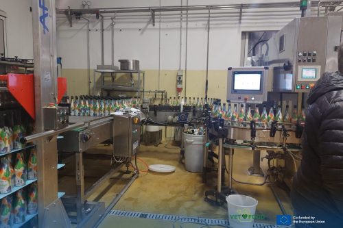 492002017 1225036516291448 8560686249650625231 n