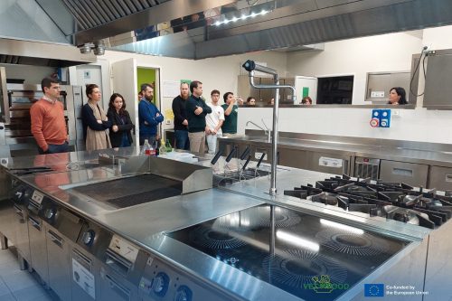 492004517 1225032279625205 1257889054459001565 n