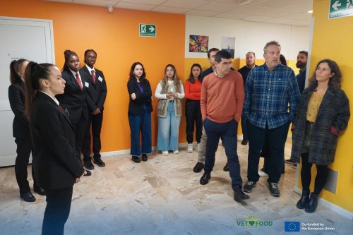 492234235 1225032246291875 8888416785847537890 n