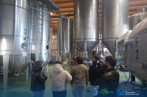 493289859 1225036756291424 3876618861793214676 n