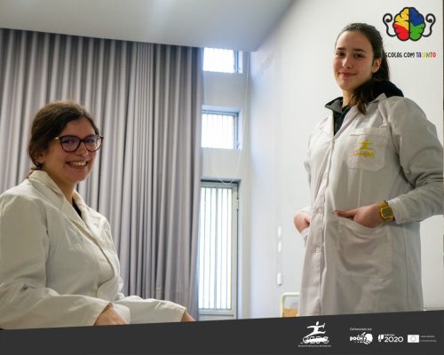 493466702 1227852226009877 7880042377112977577 n