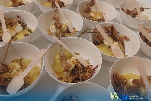 494224736 1231983298930103 5409762654212095916 n