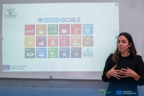 494435405 1231964222265344 1509821318988448570 n