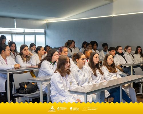 497493058 1245367220925044 6381769119655506360 n