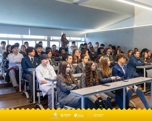 497849174 1245305967597836 6728433613611110939 n