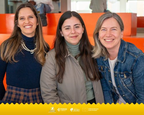 498029270 1245371110924655 1175242504365164055 n