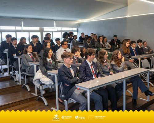 498281555 1245361910925575 4814575724283181800 n